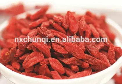 NEW CROP HOT SALE BULK GOJI BERRIES
