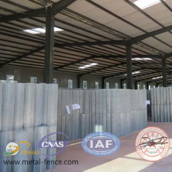 Galvanized welded wire mesh square wire mesh (26 years factory)