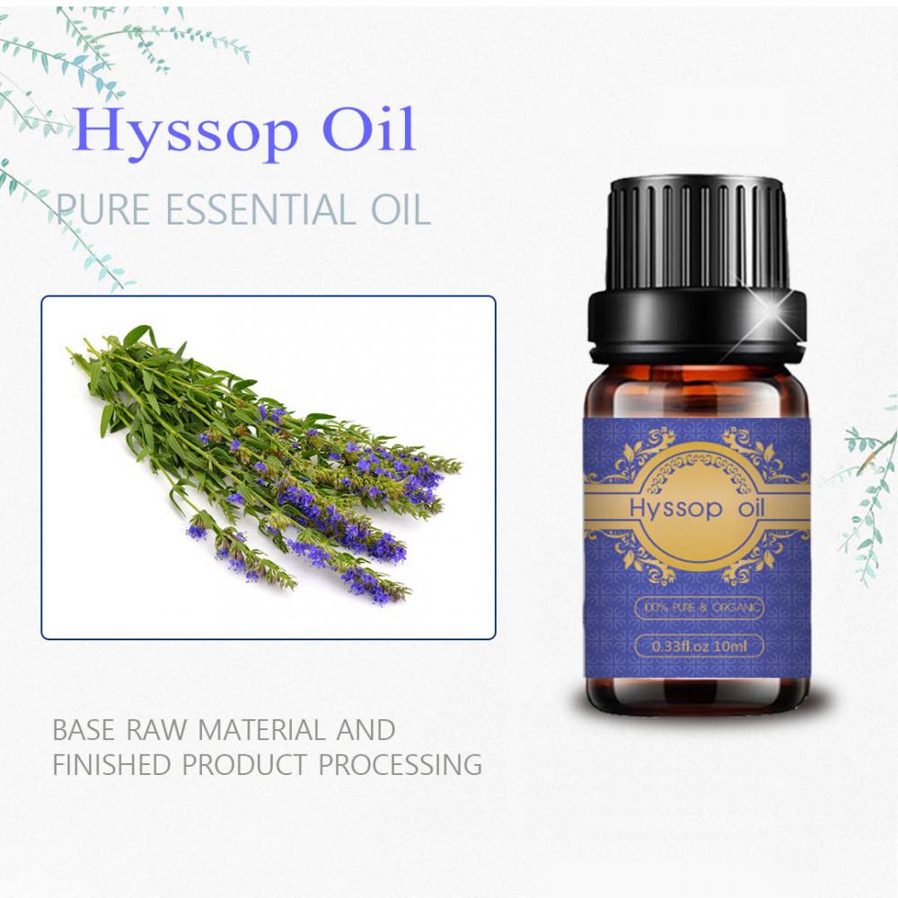 Wholesale organic hyssop essential oil for skin care