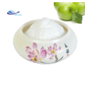 supply Freeze dried Aloe vera extract powder