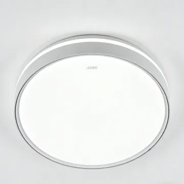 Soft satin finish ceiling light LED