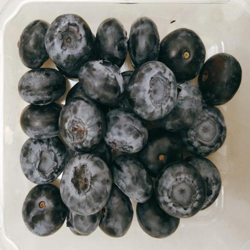 Dried Blueberry Quality Freeze Dried Blueberry Manufactory