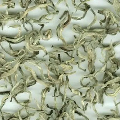 Chinese green tea Yin hao