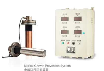 MGPS (Marine Growth Prevention System)