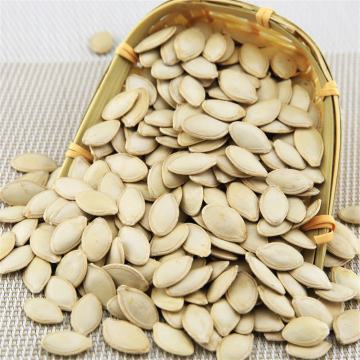 SHINE SKIN PUMPKIN SEEDS