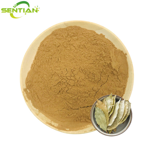 High-Quality Senna Leaf Extract