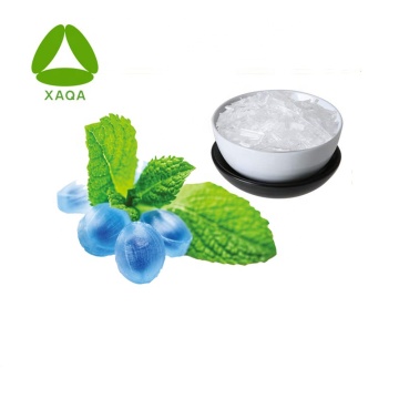 Food Additive Peppermint Extract Powder