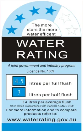 Watermark Rimless Back to Wall Bathroom Ceramic Toilet