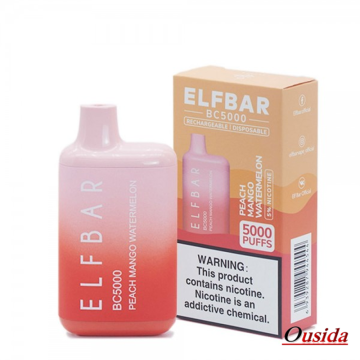 5000 Elf Bar Electronic Cigarettes Hot Selling