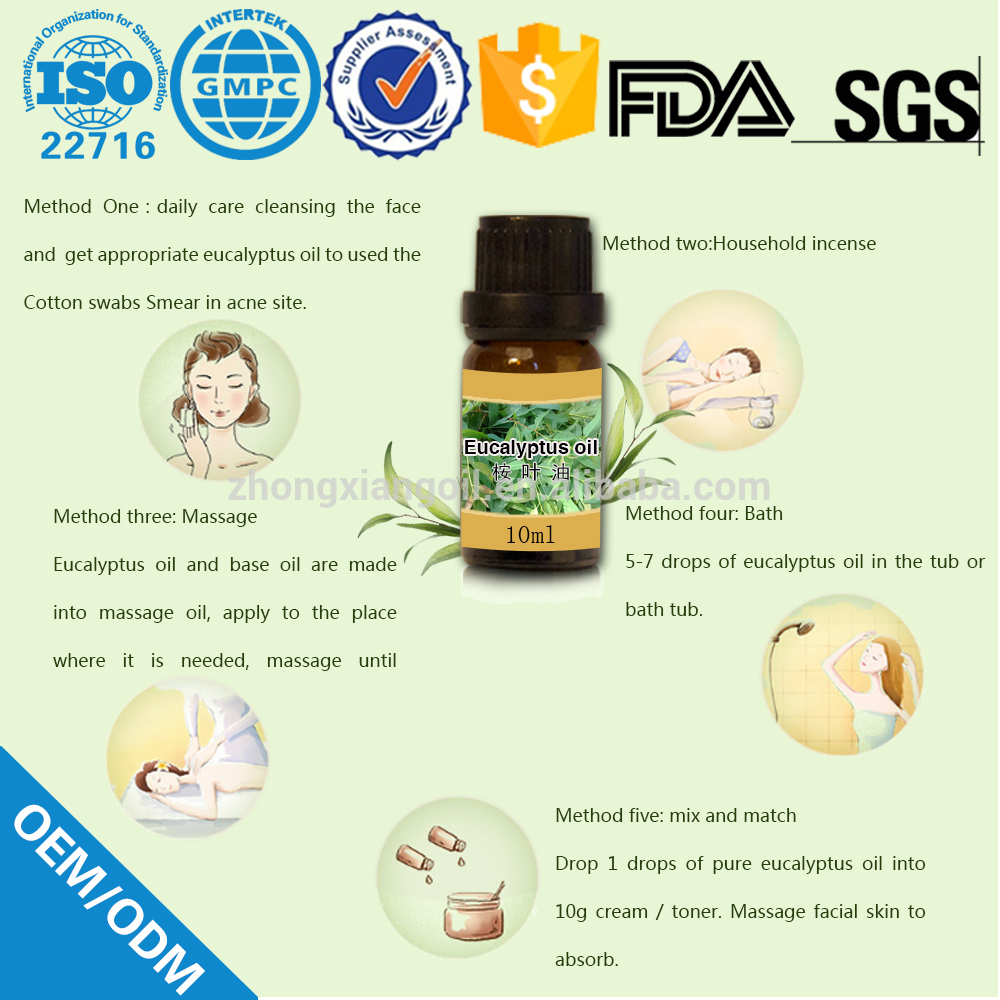 OEM 100% Pure Eucalyptus Essential Oil