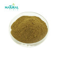 Sleep Improvement Powder HPLC Valeriana Officinalis Acid Root Extract Powder Supplier