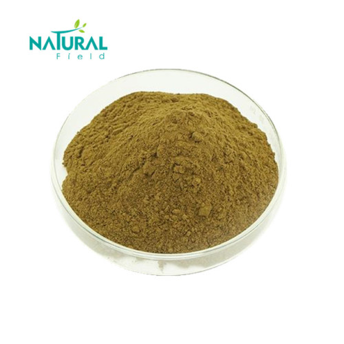 Sleep Improvement HPLC Valeriana Officinalis Acid Root Extract Powder Supplier