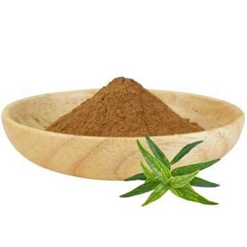 Kalmegh Powder Ekstrak daun Andrographis Paniculata