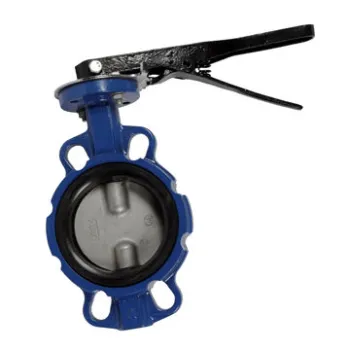 Wafer type butterfly valve, multi-standard, replaceable seat