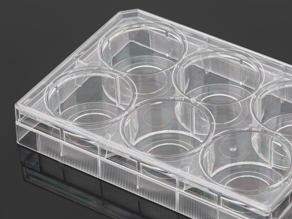 6 Well Glass Bottom Cell Culture Plates China Manufacturer