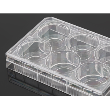 Placas de cultivo celular con fondo de vidrio de 6 pocillos