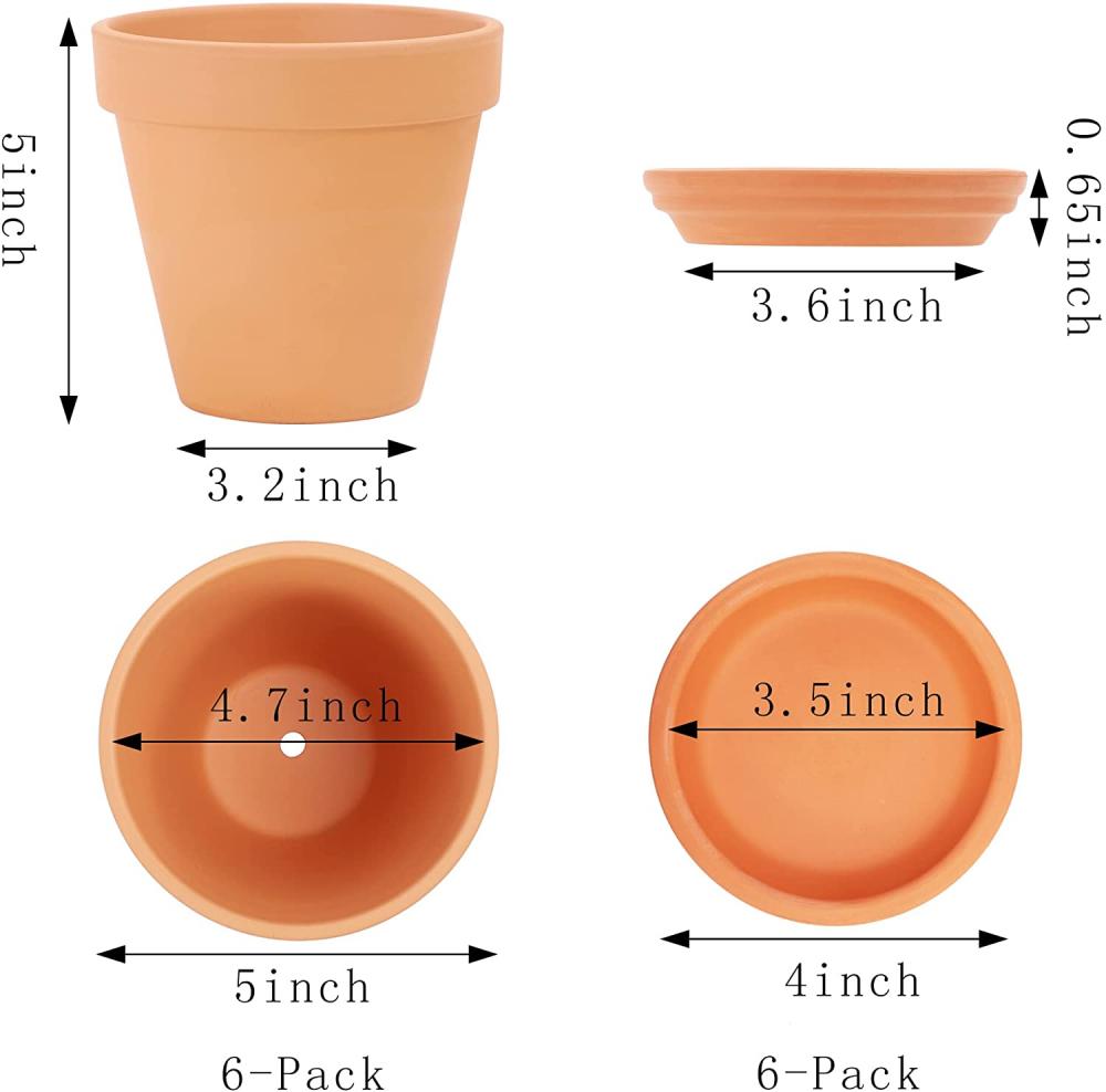 Plavier de poterie en argile de 5 pouces Pots de fleurs cactus