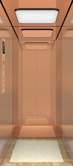 IFE home use residential elevator
