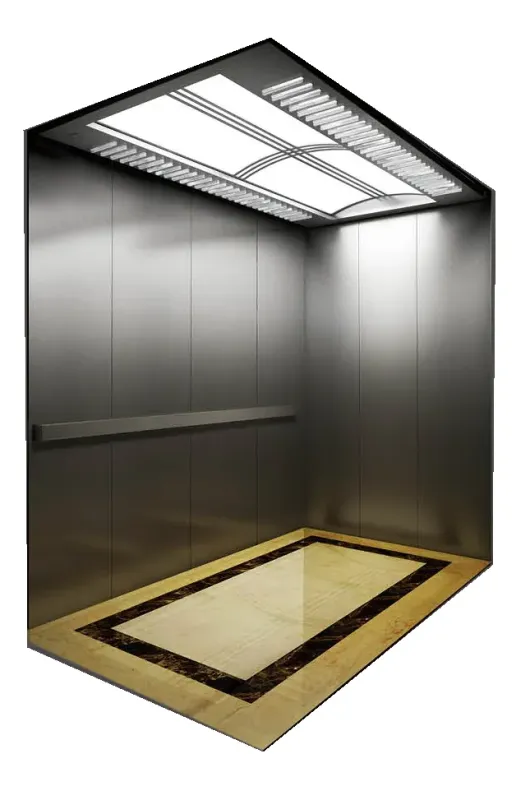 Panoramic Observation Medical Lift System