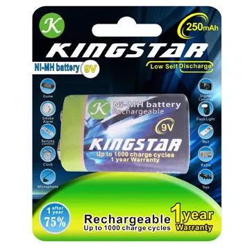 250mAh Ni-MH 9V Rechargeable Battery