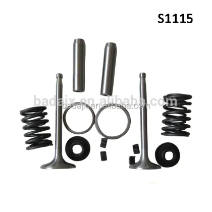 Changfa Diesel Engine S1115 Board Valve Spare Parts