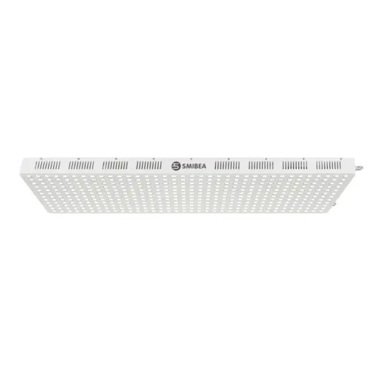 Led Red Light Therapy For Inflammation