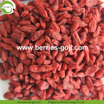 Factory Supply Healthy Natural Dried red Goji