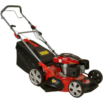 Professional Manufacturer of Luxurious Hand Push Lawn Mower (Briggs&Stratton 500E)