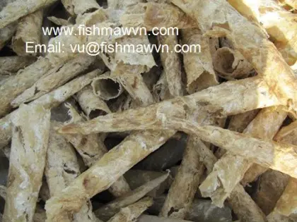 swim bladder for making isinglass