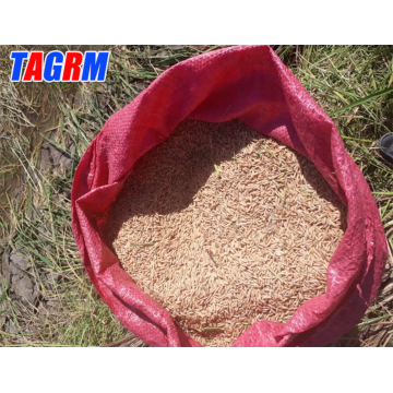 Reisschneidemaschine erntet Reisanbaus Harvester