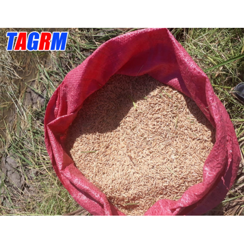 Machine de découpe de riz récolte la moissonneuse-batteuse de riz