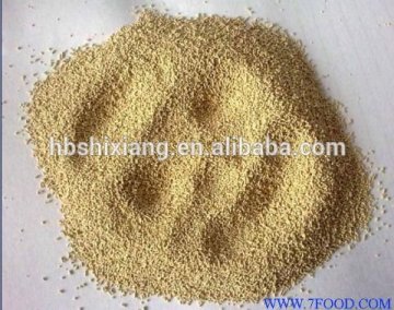 feed yeast for poultry feed