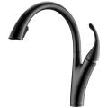 Concealed Sprayer Gooseneck Kitchen Faucet