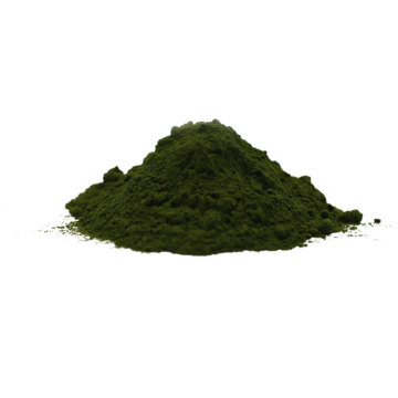 Polvo de algas orgánicas certificadas de clorella