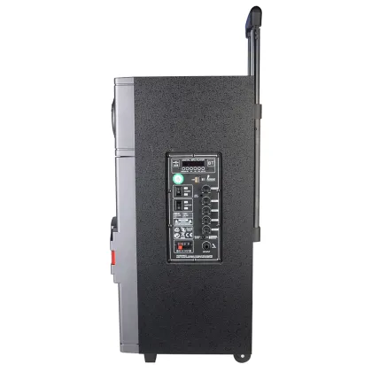 Bluetooth speaker watch power bank with wireless microphone