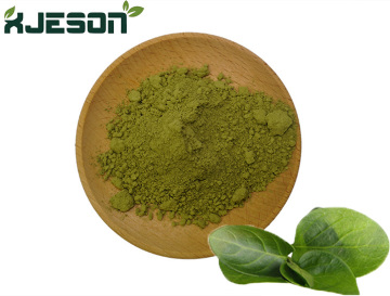 Health benefits of matcha powder