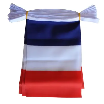 Sunshine Polyester String World Flags Bunting Banner