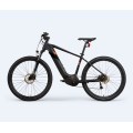 Bicicleta elétrica personalizada 750 watt