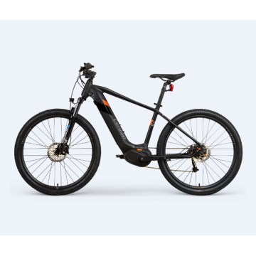 Customized Electric Bike 750 Watt