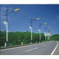 Outdoor Solar Wind Street Lamp Post For Sale