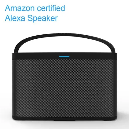 2018 Shenzhen ODM Private Tooling Factory Amazon Certified Smart Alexa Speaker