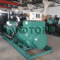 Global Warranty Silent Diesel Generator Price with ATS