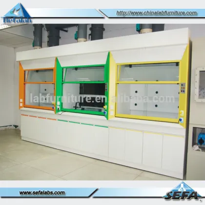 Laboratory Biosafety Cabinet Fume Chamber Vertical Laminar Air Flow Cabinet