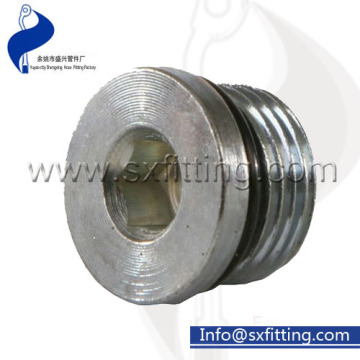 Hydraulic Fittings BSPP Hollow Hex Plug