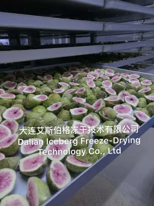Fig Freeze Drying Machine