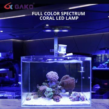 Luce di pesce leggera marina luce per coralli