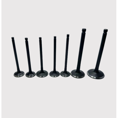 Intake Valve Replacement for OEM