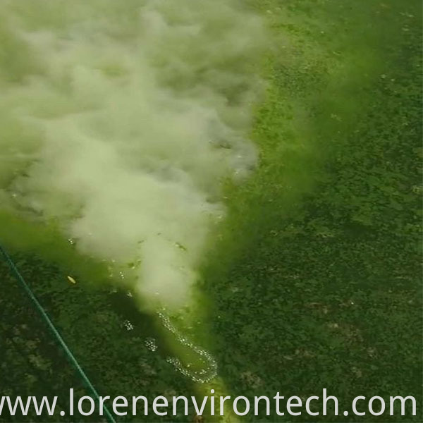 micro nano bubble generator 11