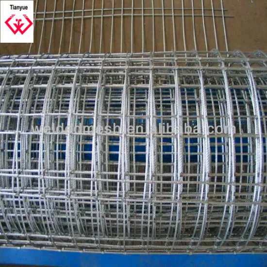 Welding Wire Mesh(direct factory)
