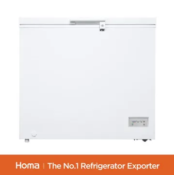 BE1-202 Electronic Control chest freezer-2